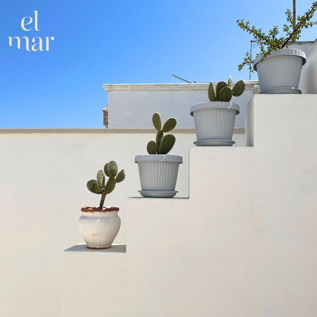 El-Mar Locazione Turistica House With Exclusive Terrace Lägenhet Polignano a Mare Exteriör bild