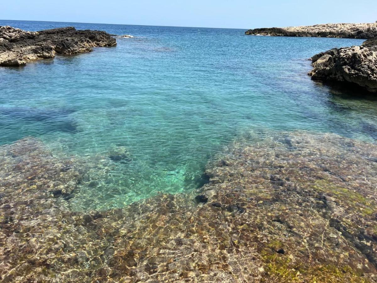 El-Mar Locazione Turistica House With Exclusive Terrace Lägenhet Polignano a Mare Exteriör bild